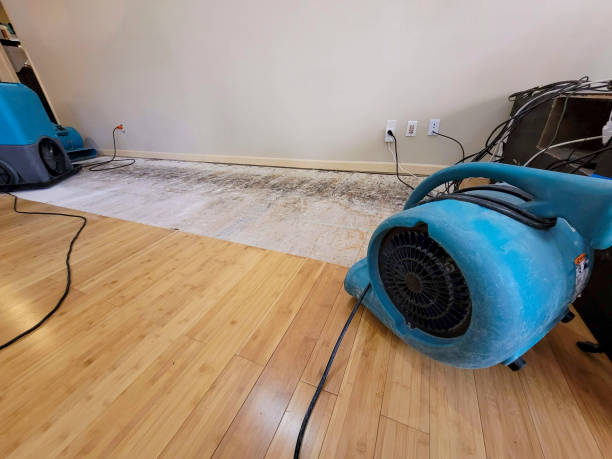 Professional Water Removal technician working in Cambridge, MN